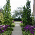 Temple Garden
